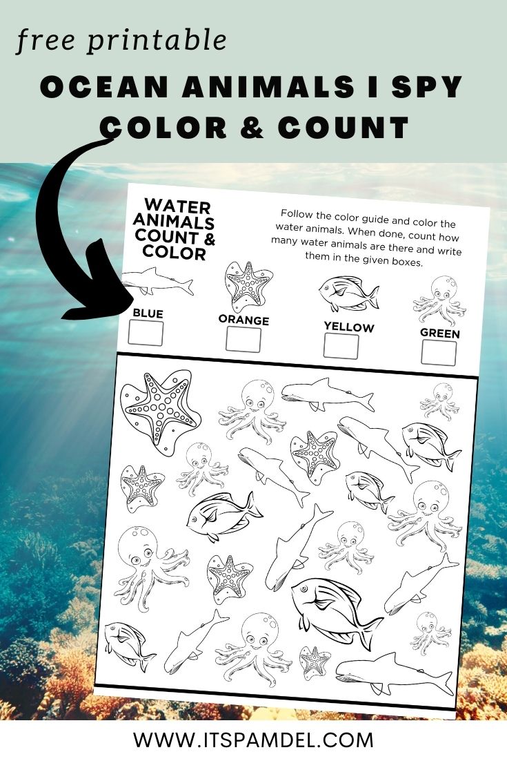 Free Printable: Ocean Animals I Spy Count and Color Activity Page for Kids  | It's Pam Del