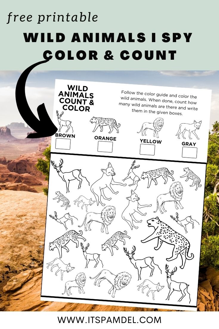 Free Printable: Wild Animals I Spy Count and Color Activity Page for Kids |  It's Pam Del