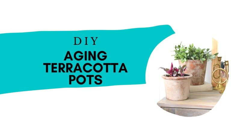 DIY Aging Terracotta Pots